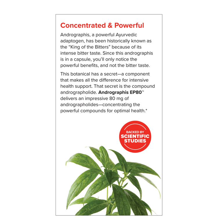 Terry Naturally Andrographis EP80 Extra Strength