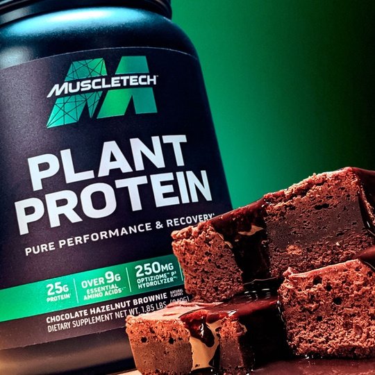 Plant Protein