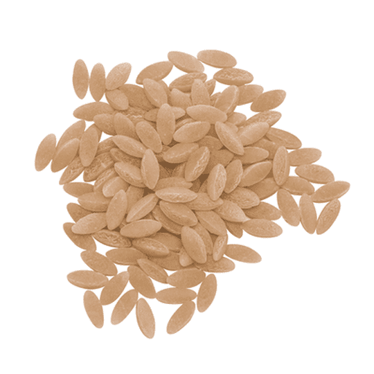 High Protein Pasta by Pasta Young