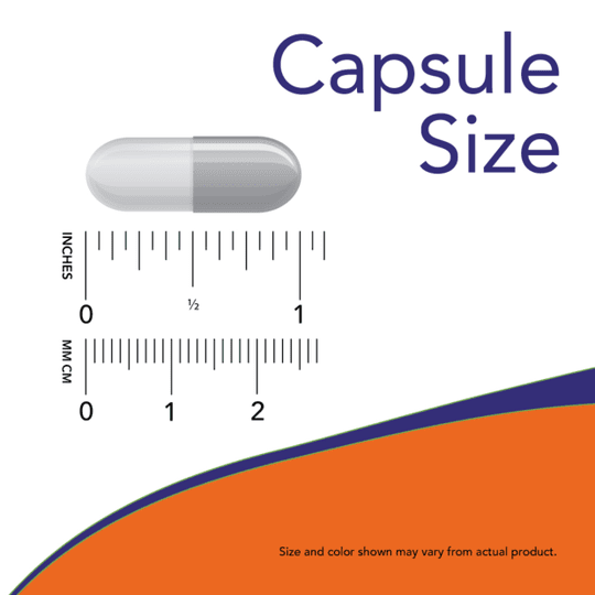 NOW Maximum Strength Grape Seed Extract