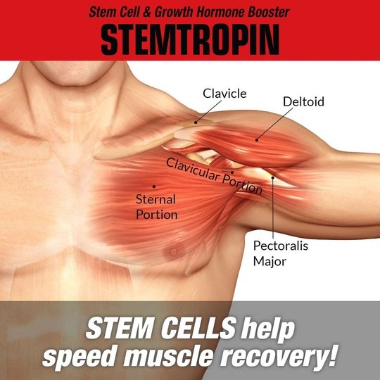 MuscleMeds Stemotopin