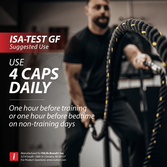 ISatori ISA-TEST GF