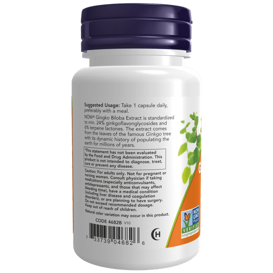 Now Ginkgo Biloba Double Strength 120mg