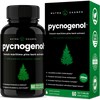 Pycnogenol Capsules by NutraChamps