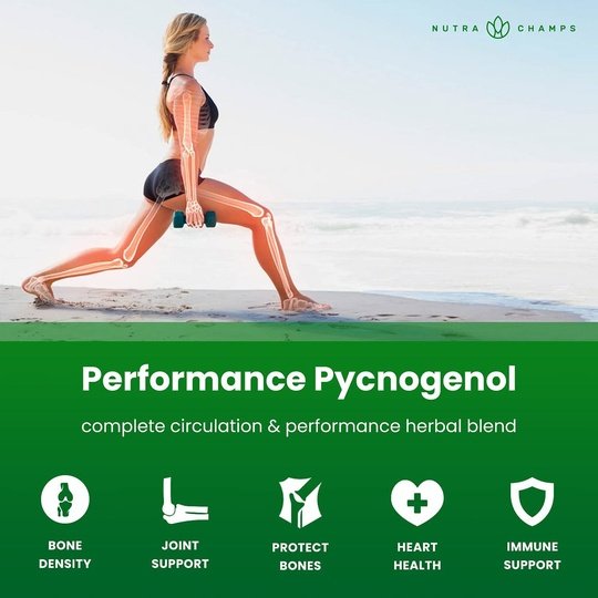Pycnogenol Capsules by NutraChamps